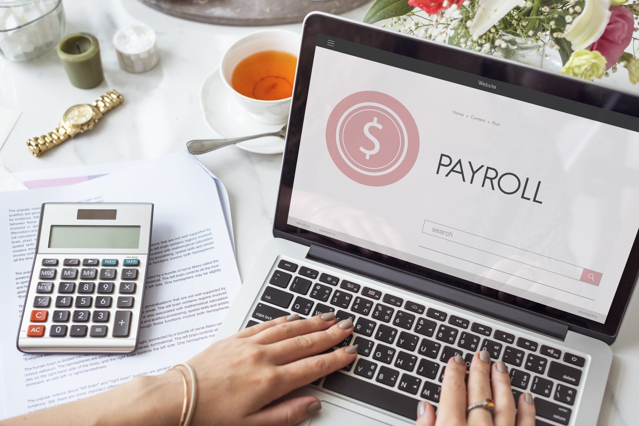 payroll software vs payroll services